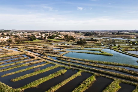 vivre-ile-d-olonne-immobilier-vendee